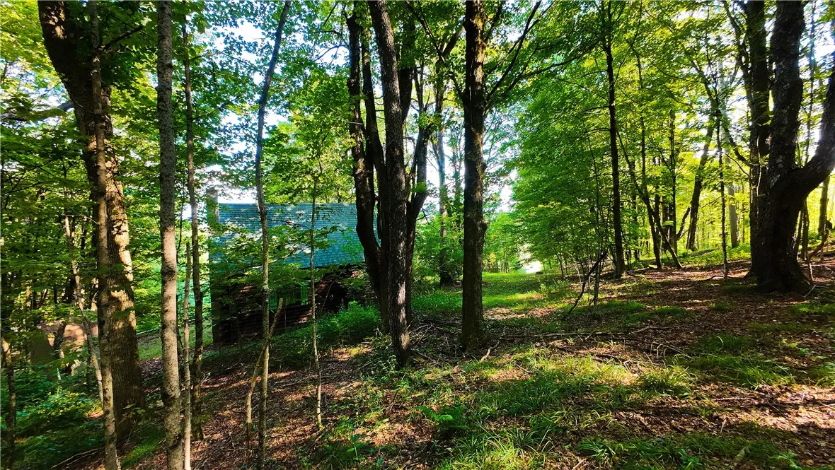 1455 County Road 10, Preston, New York 13815, Preston, New York 13815, 3 Bedrooms Bedrooms, 5 Rooms Rooms,1 BathroomBathrooms,Residential,Closed,1455 County Road 10, Preston, New York 13815,0,R1625061