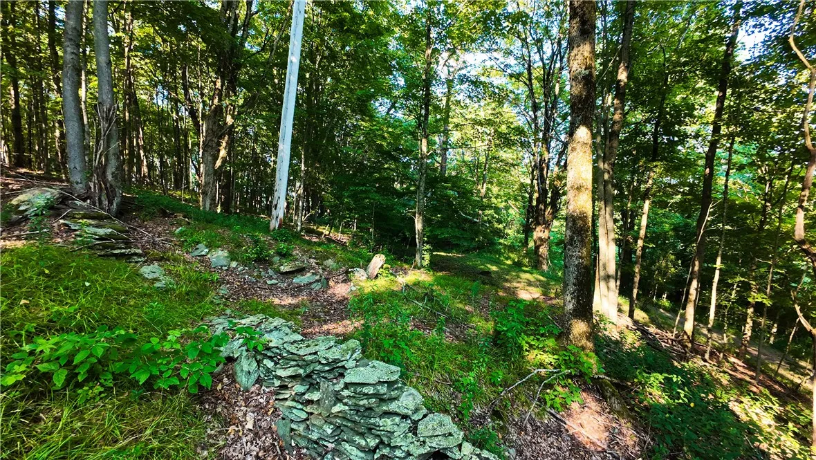 1455 County Road 10, Preston, New York 13815, Preston, New York 13815, 3 Bedrooms Bedrooms, 5 Rooms Rooms,1 BathroomBathrooms,Residential,Closed,1455 County Road 10, Preston, New York 13815,0,R1625061