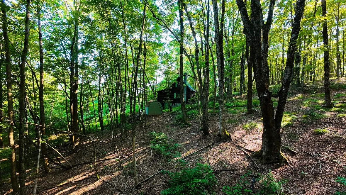 1455 County Road 10, Preston, New York 13815, Preston, New York 13815, 3 Bedrooms Bedrooms, 5 Rooms Rooms,1 BathroomBathrooms,Residential,Closed,1455 County Road 10, Preston, New York 13815,0,R1625061