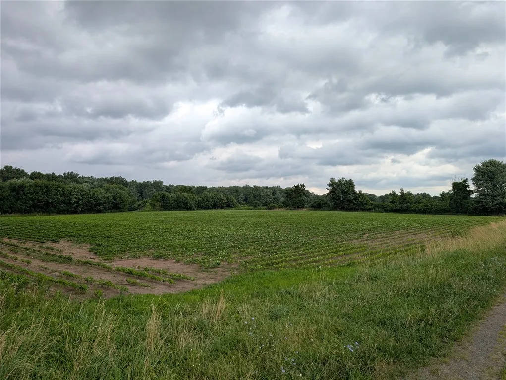 16499 Lynch Road, Murray, New York 14470, Murray, New York 14470, 4 Bedrooms Bedrooms, 8 Rooms Rooms,1 BathroomBathrooms,Residential,Closed,16499 Lynch Road, Murray, New York 14470,0,R1626735
