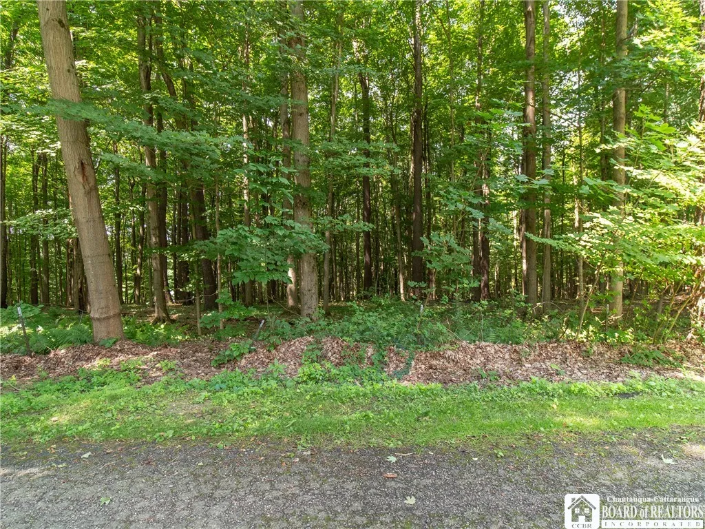 Rt-430, Ellery, New York 14712, Ellery, New York 14712, ,Land,Closed,Rt-430, Ellery, New York 14712,0,R1626963