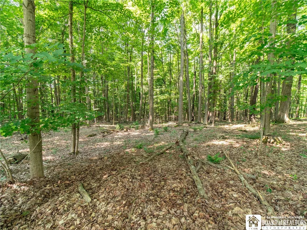 Rt-430, Ellery, New York 14712, Ellery, New York 14712, ,Land,Closed,Rt-430, Ellery, New York 14712,0,R1626963