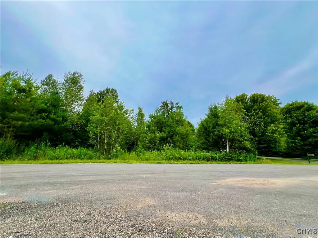 Lot 12 Forest Ridge Drive, Rome, New York 13440, Rome, New York 13440, ,Land,For Sale,Lot 12 Forest Ridge Drive, Rome, New York 13440,0,S1626911