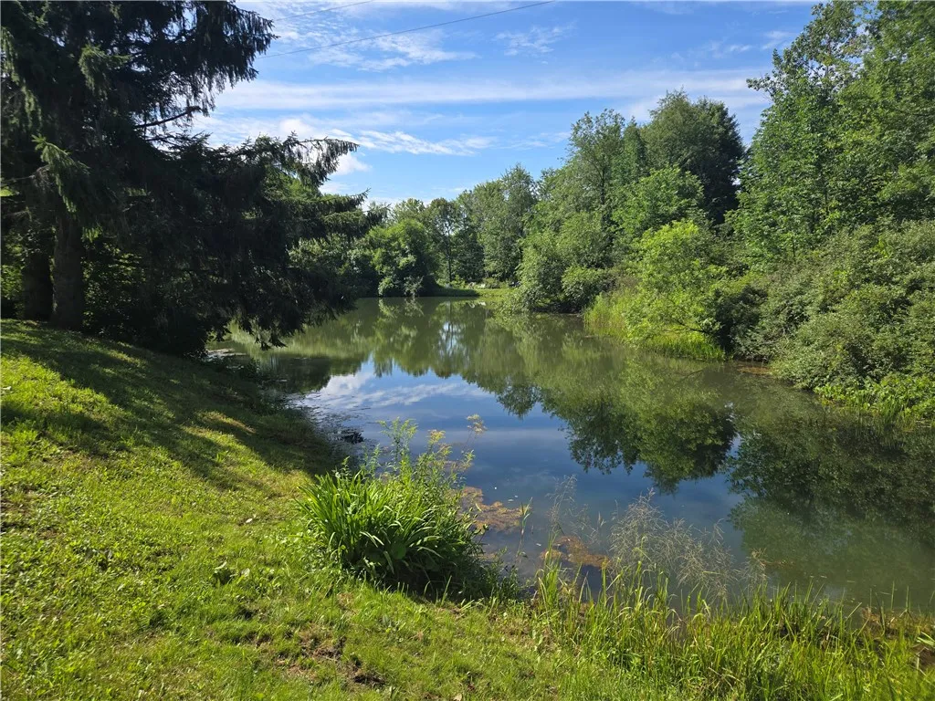 7256 Wetmore Road, Springwater, New York 14572, Springwater, New York 14572, ,Land,Closed,7256 Wetmore Road, Springwater, New York 14572,0,R1626923