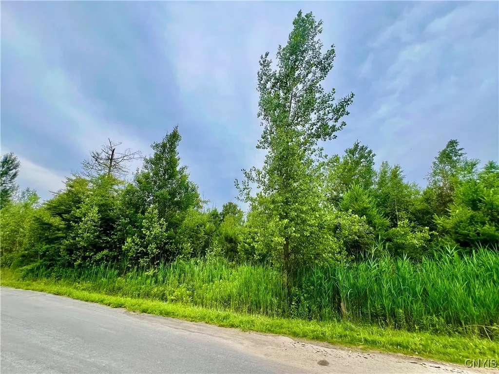 Lot 16 Forest Ridge Drive, Rome, New York 13440, Rome, New York 13440, ,Land,For Sale,Lot 16 Forest Ridge Drive, Rome, New York 13440,0,S1627060