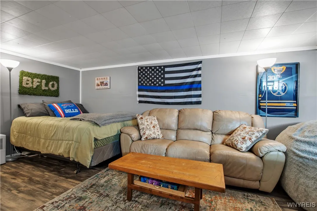 Basement Family room