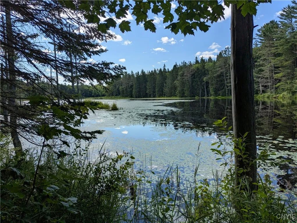 6404 Culpepper Road, Montague, New York 13367, Montague, New York 13367, ,Land,Closed,6404 Culpepper Road, Montague, New York 13367,0,S1627177