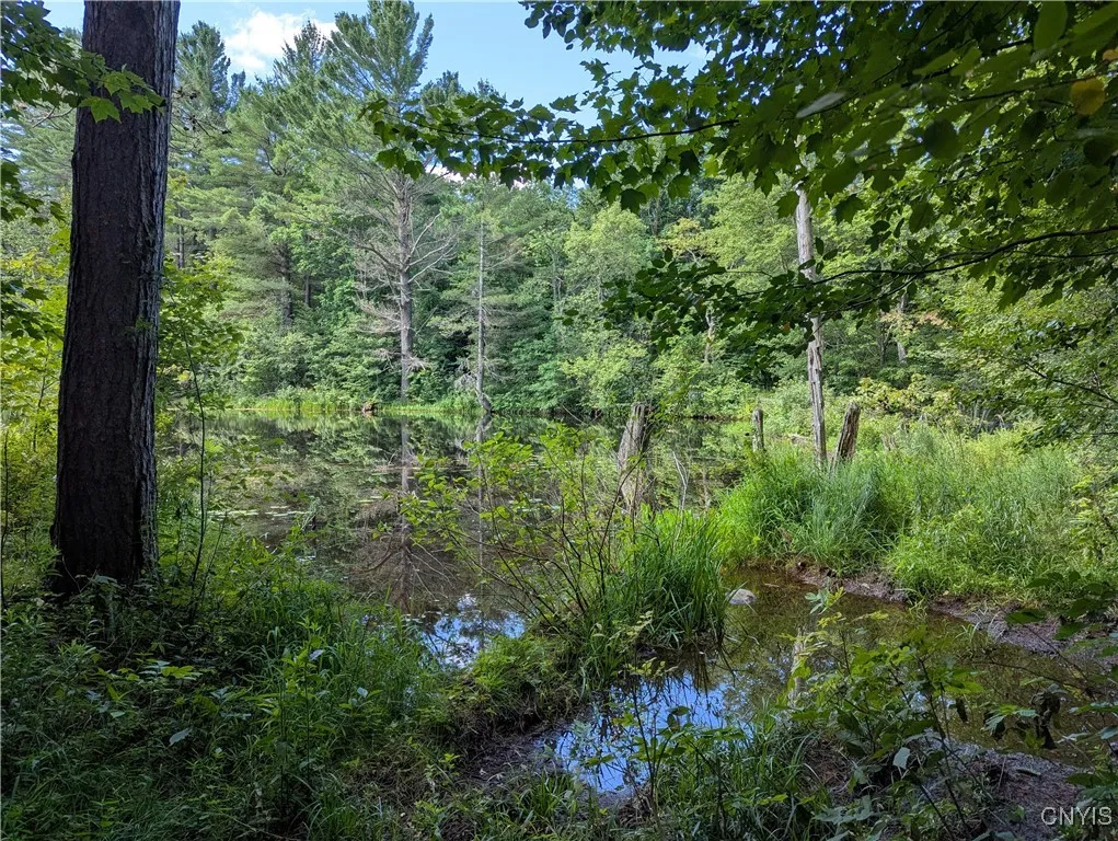 6404 Culpepper Road, Montague, New York 13367, Montague, New York 13367, ,Land,Closed,6404 Culpepper Road, Montague, New York 13367,0,S1627177