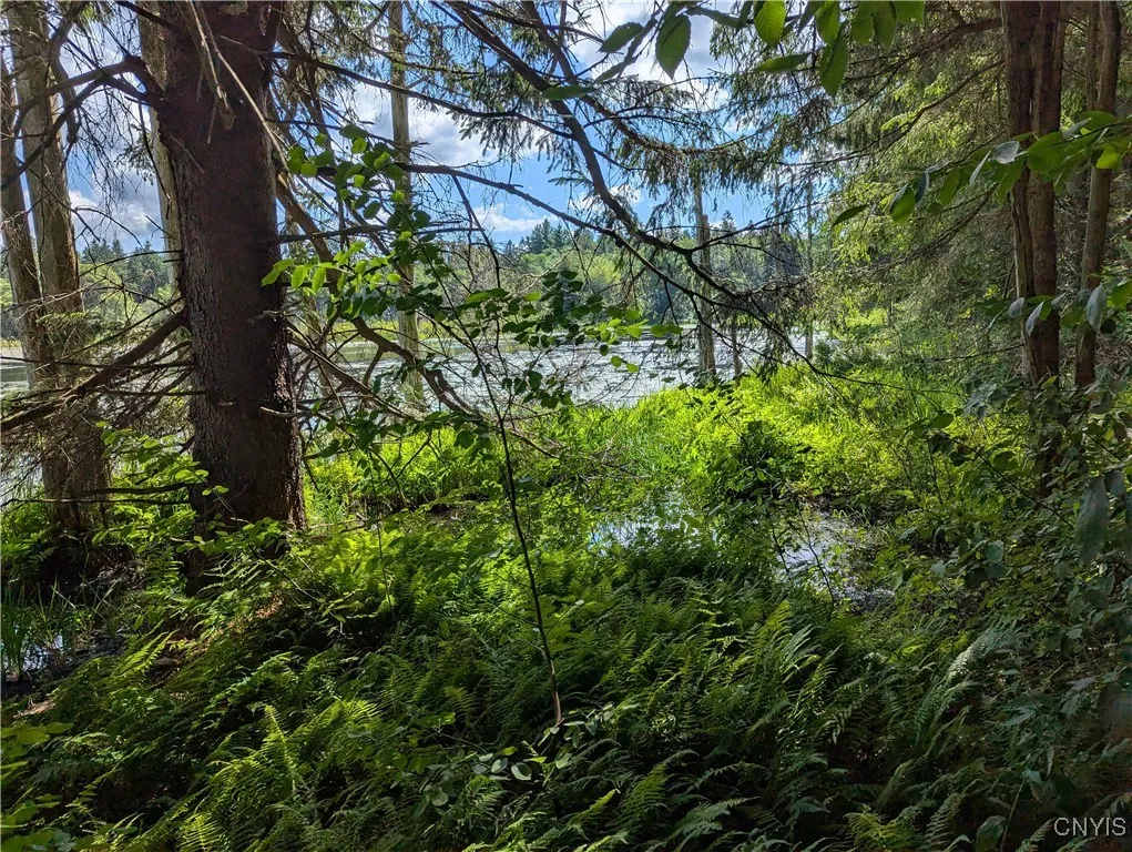 6404 Culpepper Road, Montague, New York 13367, Montague, New York 13367, ,Land,Closed,6404 Culpepper Road, Montague, New York 13367,0,S1627177