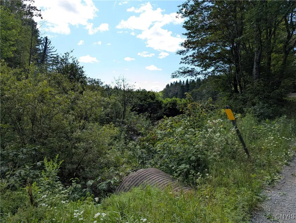 6404 Culpepper Road, Montague, New York 13367, Montague, New York 13367, ,Land,Closed,6404 Culpepper Road, Montague, New York 13367,0,S1627177