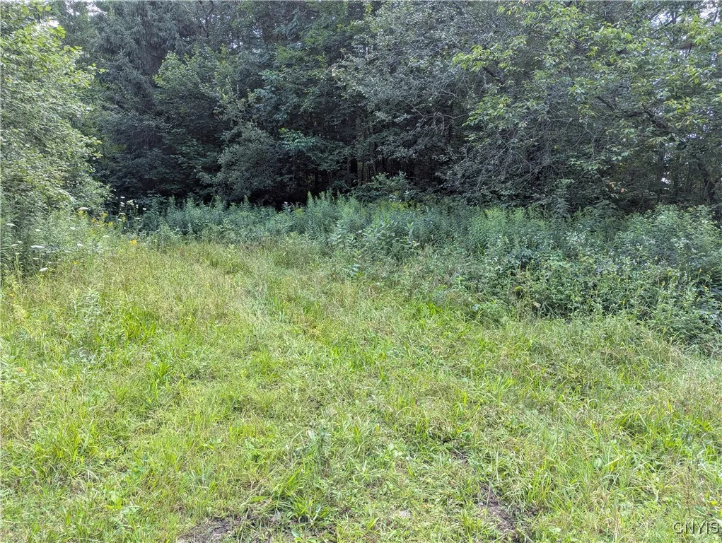 6404 Culpepper Road, Montague, New York 13367, Montague, New York 13367, ,Land,Closed,6404 Culpepper Road, Montague, New York 13367,0,S1627177
