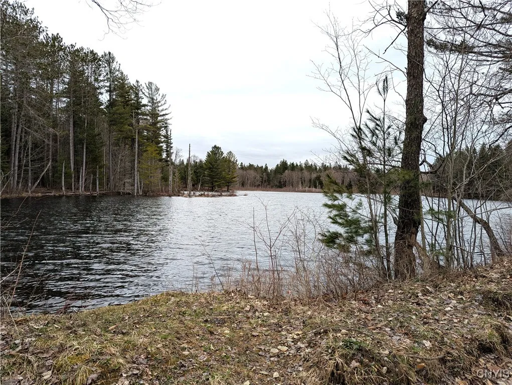 6404 Culpepper Road, Montague, New York 13367, Montague, New York 13367, ,Land,Closed,6404 Culpepper Road, Montague, New York 13367,0,S1627177