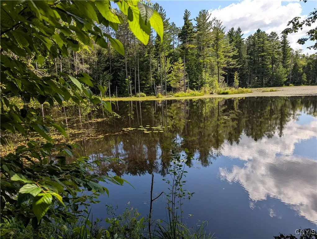 6404 Culpepper Road, Montague, New York 13367, Montague, New York 13367, ,Land,Closed,6404 Culpepper Road, Montague, New York 13367,0,S1627177