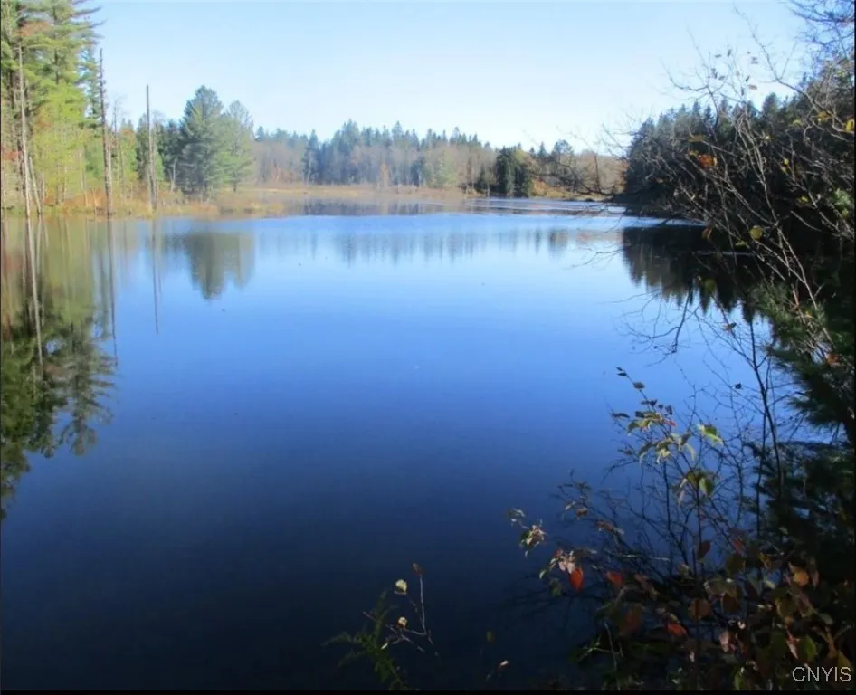 6404 Culpepper Road, Montague, New York 13367, Montague, New York 13367, ,Land,Closed,6404 Culpepper Road, Montague, New York 13367,0,S1627177