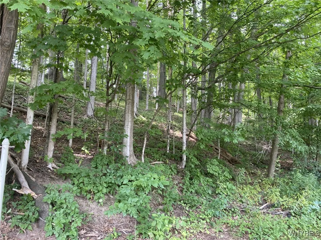 177 Clinton Street, Bennington, New York 14037, Bennington, New York 14037, 2 Bedrooms Bedrooms, 7 Rooms Rooms,1 BathroomBathrooms,Residential,Closed,177 Clinton Street, Bennington, New York 14037,0,B1621618