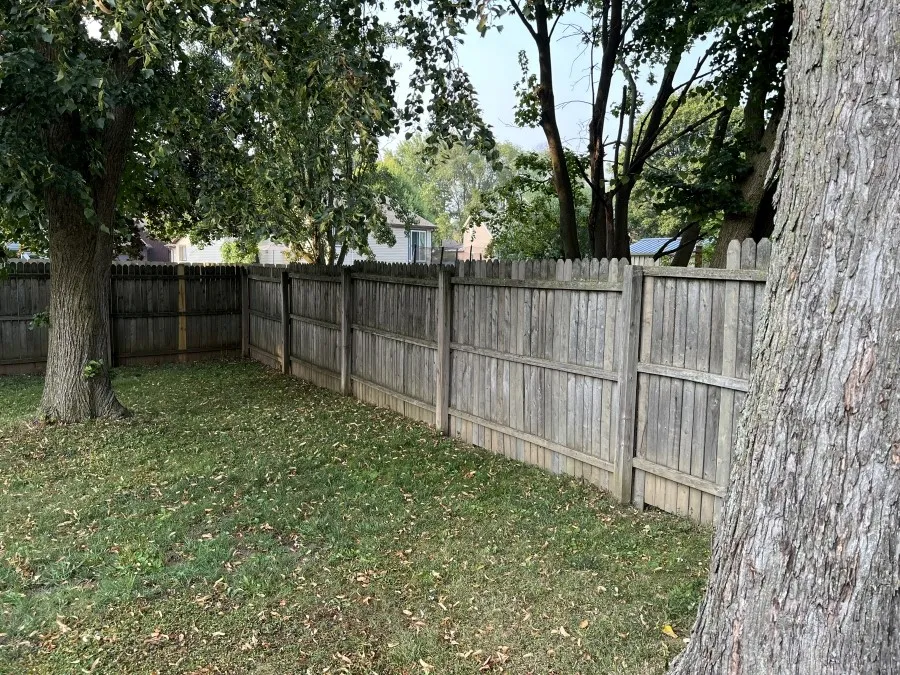 Backyard Fenceline