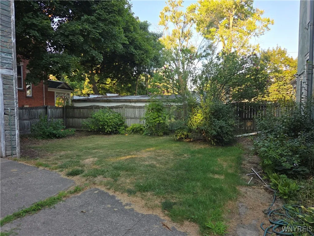 Backyard behind House