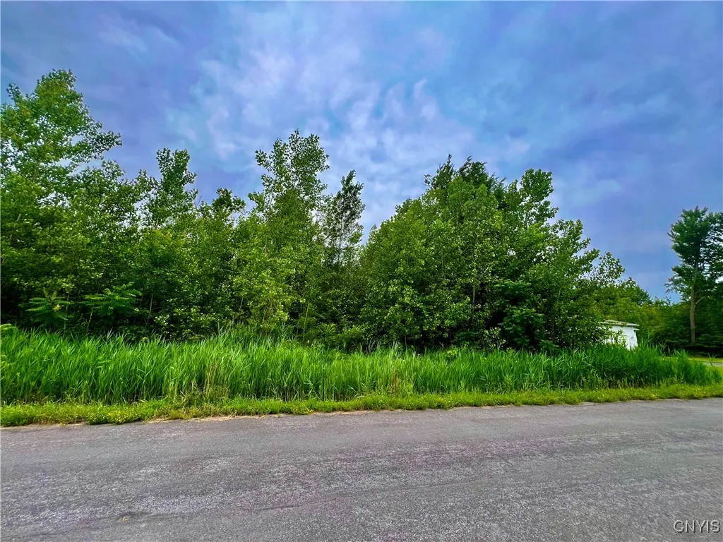 Lot 17 Forest Ridge Drive, Rome, New York 13440, Rome, New York 13440, ,Land,For Sale,Lot 17 Forest Ridge Drive, Rome, New York 13440,0,S1627103