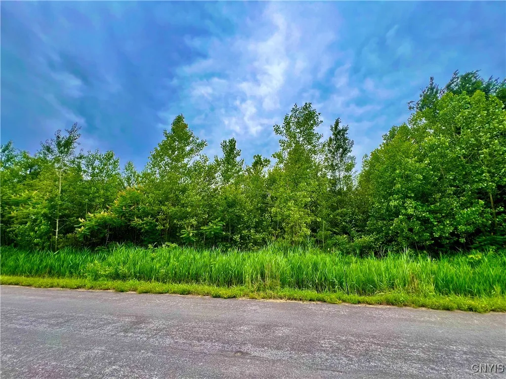 Lot 17 Forest Ridge Drive, Rome, New York 13440, Rome, New York 13440, ,Land,For Sale,Lot 17 Forest Ridge Drive, Rome, New York 13440,0,S1627103