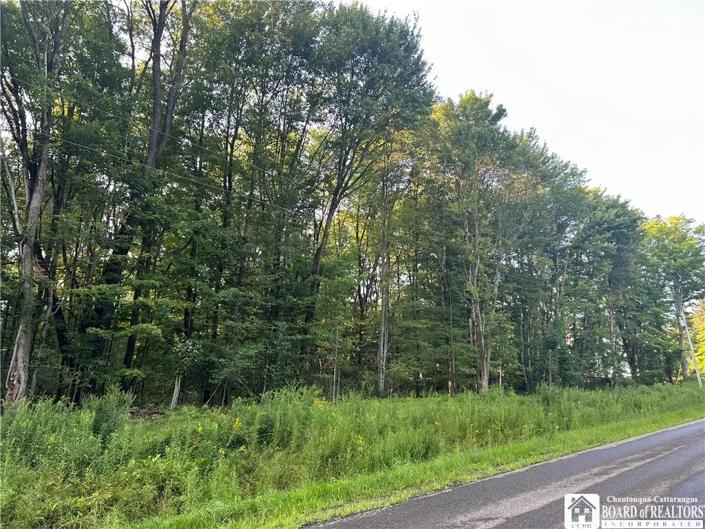 6715 Bailey Hill Road, Leon, New York 14719, Leon, New York 14719, 3 Bedrooms Bedrooms, 4 Rooms Rooms,1 BathroomBathrooms,Residential,Closed,6715 Bailey Hill Road, Leon, New York 14719,0,R1627266