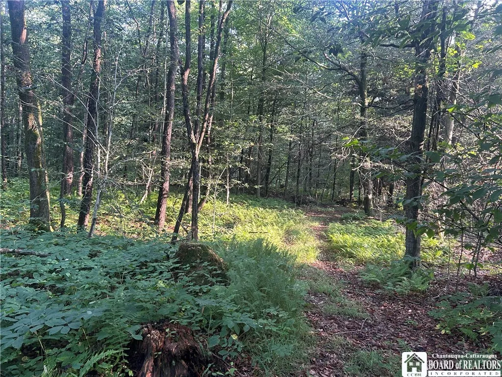 6715 Bailey Hill Road, Leon, New York 14719, Leon, New York 14719, 3 Bedrooms Bedrooms, 4 Rooms Rooms,1 BathroomBathrooms,Residential,Closed,6715 Bailey Hill Road, Leon, New York 14719,0,R1627266