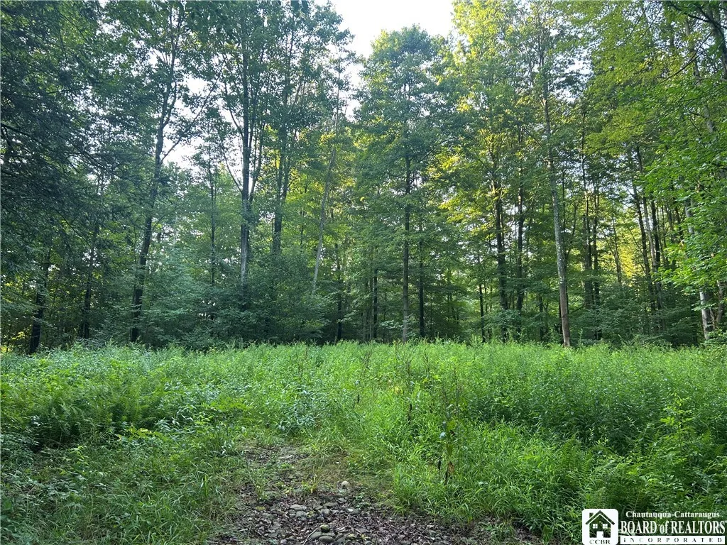 6715 Bailey Hill Road, Leon, New York 14719, Leon, New York 14719, 3 Bedrooms Bedrooms, 4 Rooms Rooms,1 BathroomBathrooms,Residential,Closed,6715 Bailey Hill Road, Leon, New York 14719,0,R1627266