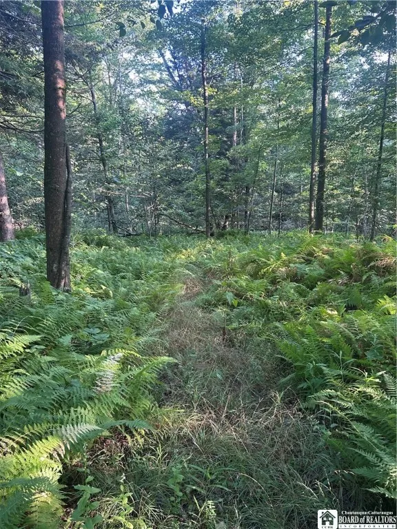 6715 Bailey Hill Road, Leon, New York 14719, Leon, New York 14719, 3 Bedrooms Bedrooms, 4 Rooms Rooms,1 BathroomBathrooms,Residential,Closed,6715 Bailey Hill Road, Leon, New York 14719,0,R1627266