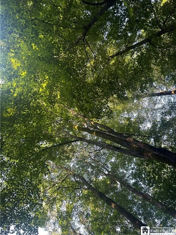 6715 Bailey Hill Road, Leon, New York 14719, Leon, New York 14719, 3 Bedrooms Bedrooms, 4 Rooms Rooms,1 BathroomBathrooms,Residential,Closed,6715 Bailey Hill Road, Leon, New York 14719,0,R1627266