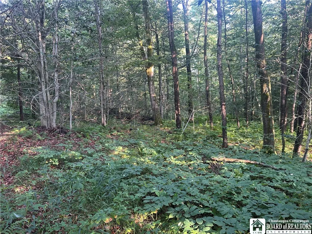 6715 Bailey Hill Road, Leon, New York 14719, Leon, New York 14719, 3 Bedrooms Bedrooms, 4 Rooms Rooms,1 BathroomBathrooms,Residential,Closed,6715 Bailey Hill Road, Leon, New York 14719,0,R1627266