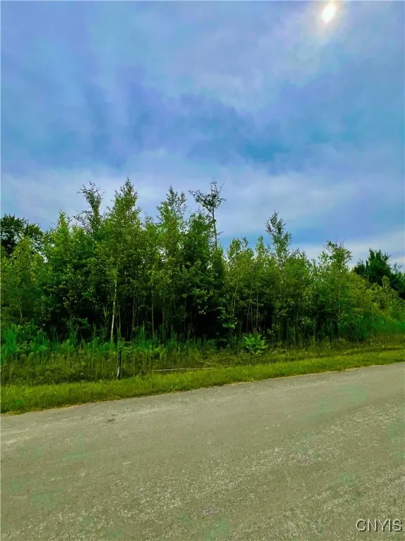 Lot 5