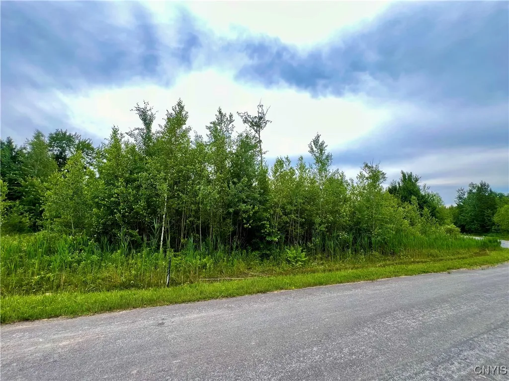 Lot 5 Forest Ridge Drive Drive, Rome, New York 134, Rome, New York 13440, ,Land,For Sale,Lot 5 Forest Ridge Drive Drive, Rome, New York 134,0,S1627272