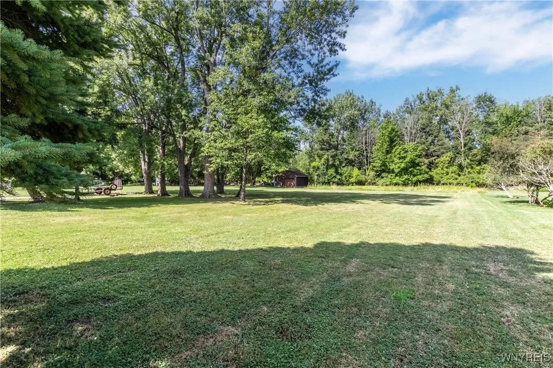 49 Bielak Road, Orchard Park, New York 14127, Orchard Park, New York 14127, 3 Bedrooms Bedrooms, ,2 BathroomsBathrooms,Residential,For Sale,49 Bielak Road, Orchard Park, New York 14127,B1625453