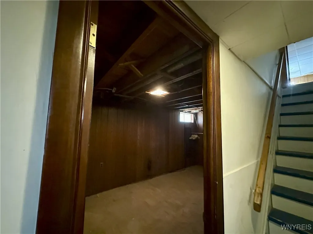 Bonus Room in Basement