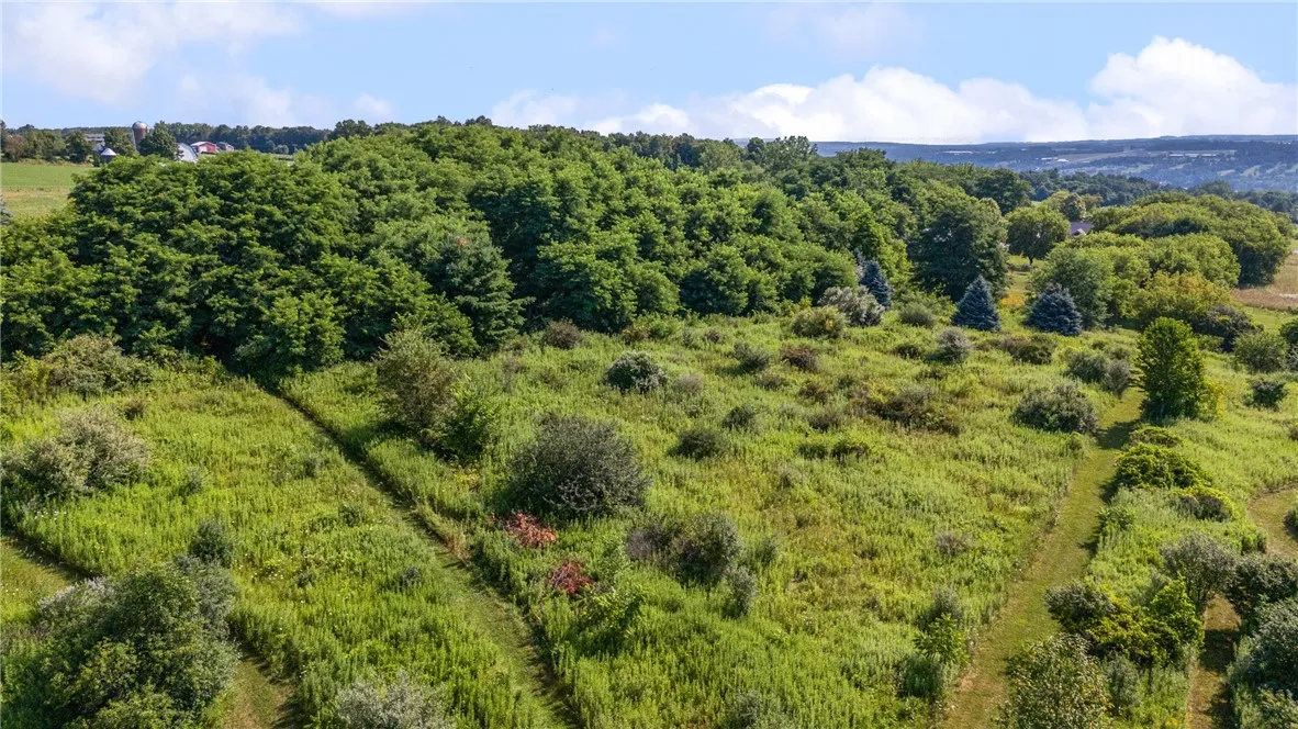 2722 Coates Road, Jerusalem, New York 14527, Jerusalem, New York 14527, 4 Bedrooms Bedrooms, 11 Rooms Rooms,2 BathroomsBathrooms,Residential,For Sale,2722 Coates Road, Jerusalem, New York 14527,R1625656