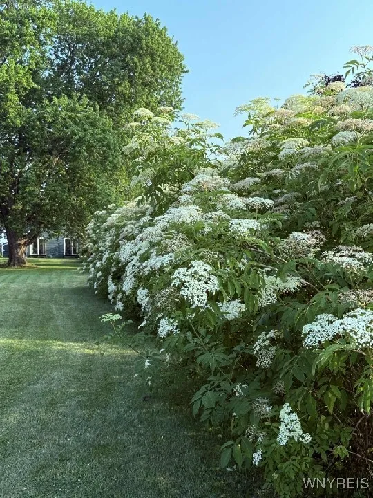 2721 West Lake Road, Wilson, New York 14172, Wilson, New York 14172, 1 Bedroom Bedrooms, 4 Rooms Rooms,1 BathroomBathrooms,Residential,For Sale,2721 West Lake Road, Wilson, New York 14172,B1626466