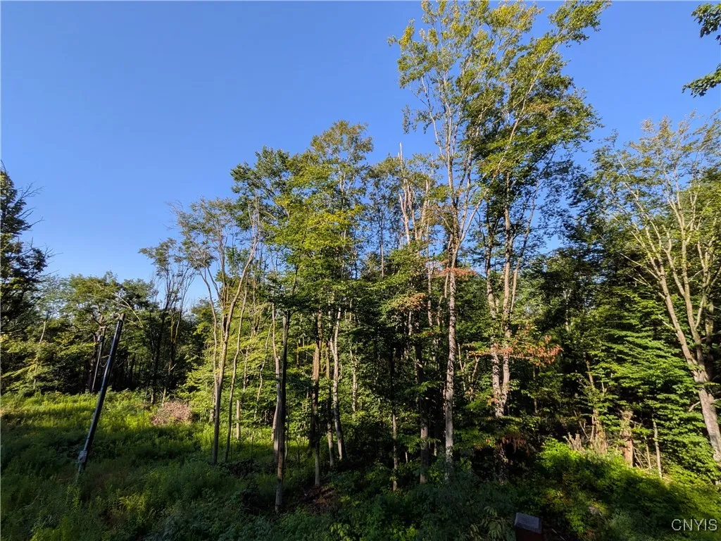 2254 Maricle Rd. Road, Freetown, New York 13040, Freetown, New York 13040, 4 Bedrooms Bedrooms, 12 Rooms Rooms,3 BathroomsBathrooms,Residential,For Sale,2254 Maricle Rd. Road, Freetown, New York 13040,S1627404
