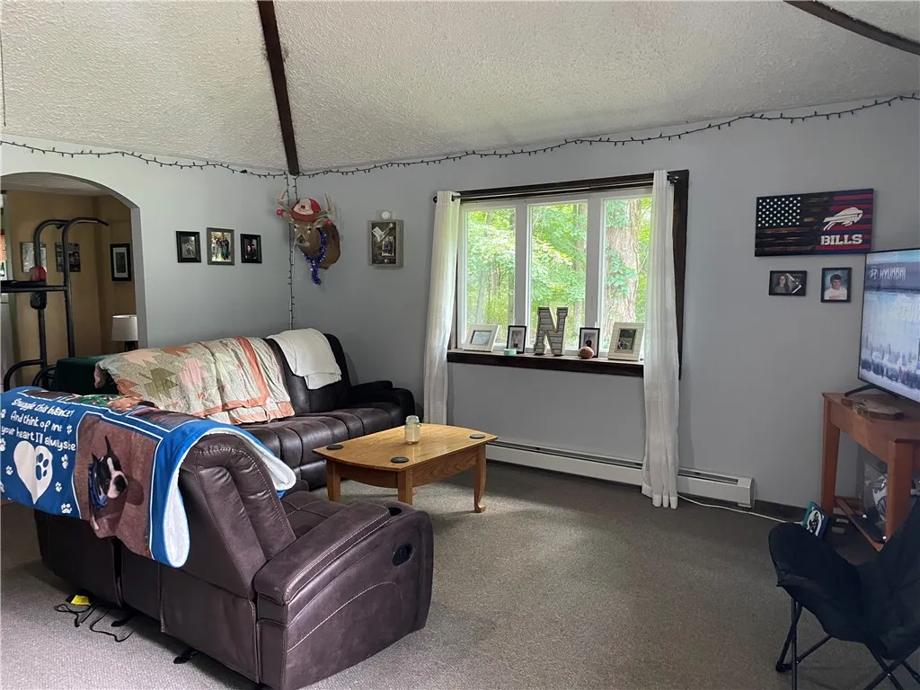 5454 Wolf Run Road, Campbell, New York 14821, Campbell, New York 14821, 3 Bedrooms Bedrooms, 7 Rooms Rooms,2 BathroomsBathrooms,Residential,For Sale,5454 Wolf Run Road, Campbell, New York 14821,R1627337