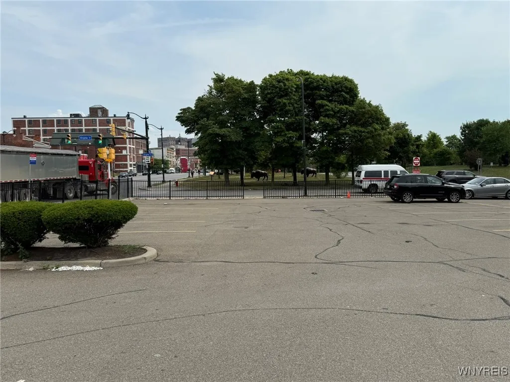 350 Niagara Street, Buffalo, New York 14201, Buffalo, New York 14201, ,Commercial Lease,For Rent,350 Niagara Street, Buffalo, New York 14201,B1627420