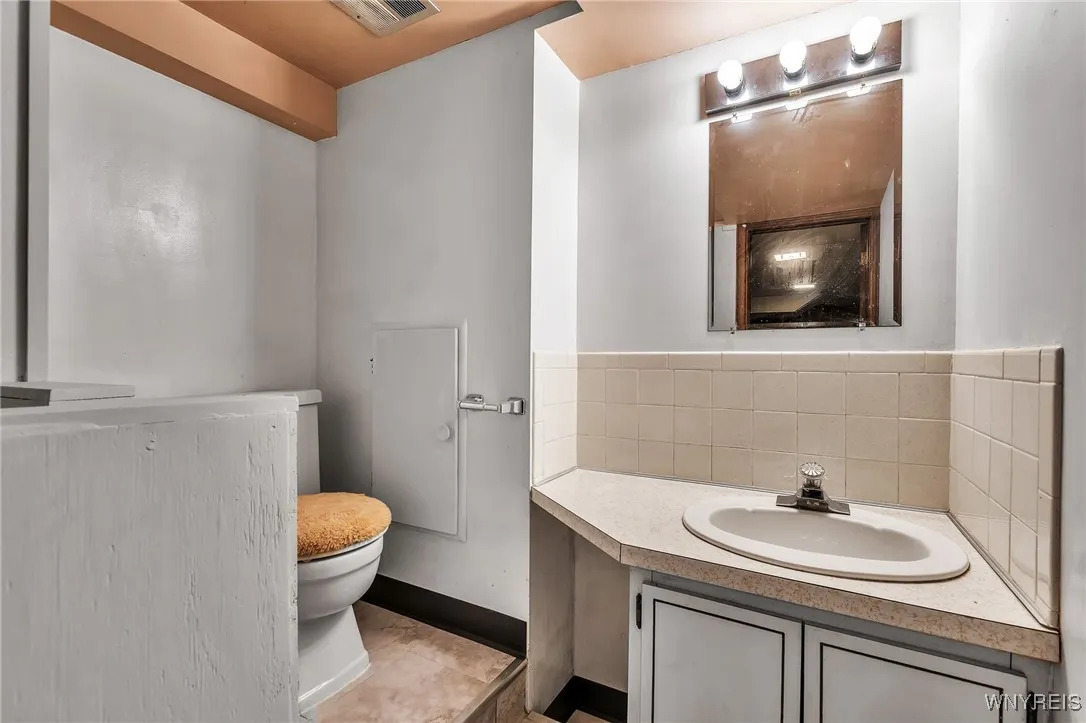 Basement full bath w/dog shower