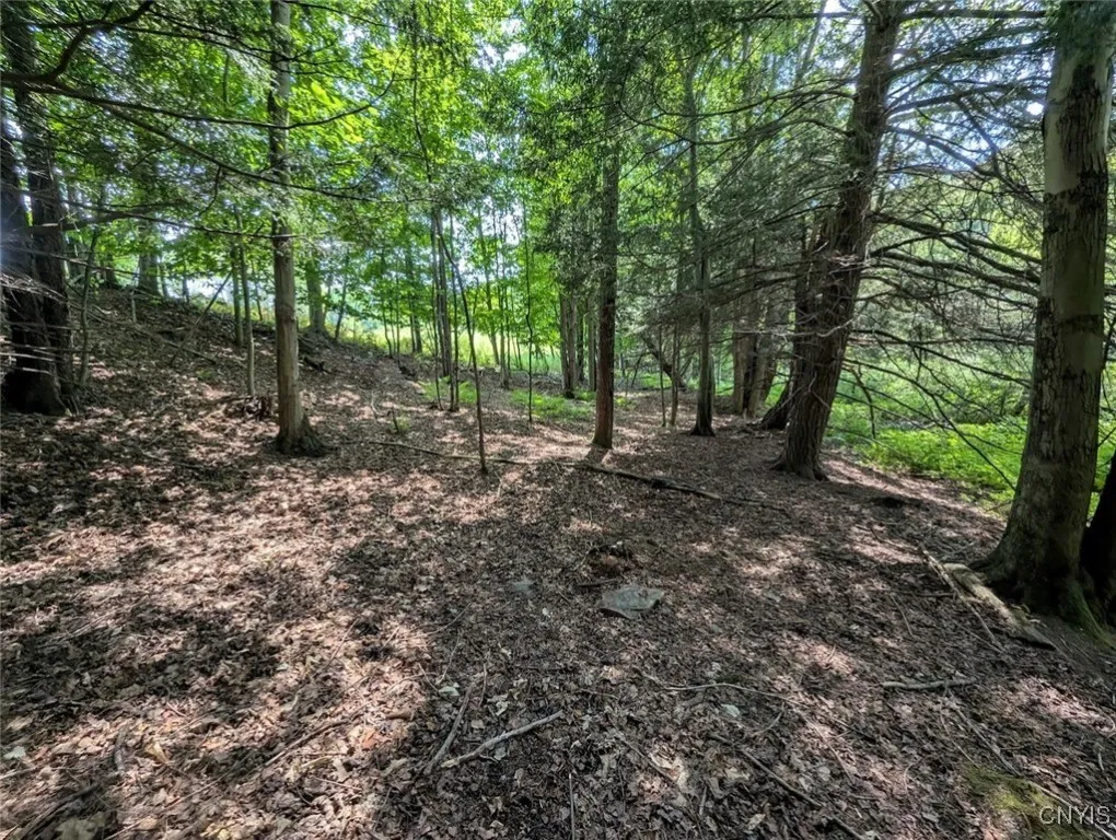 County Route 46, Dansville, New York 14437, Dansville, New York 14437, ,Land,For Sale,County Route 46, Dansville, New York 14437,S1627490