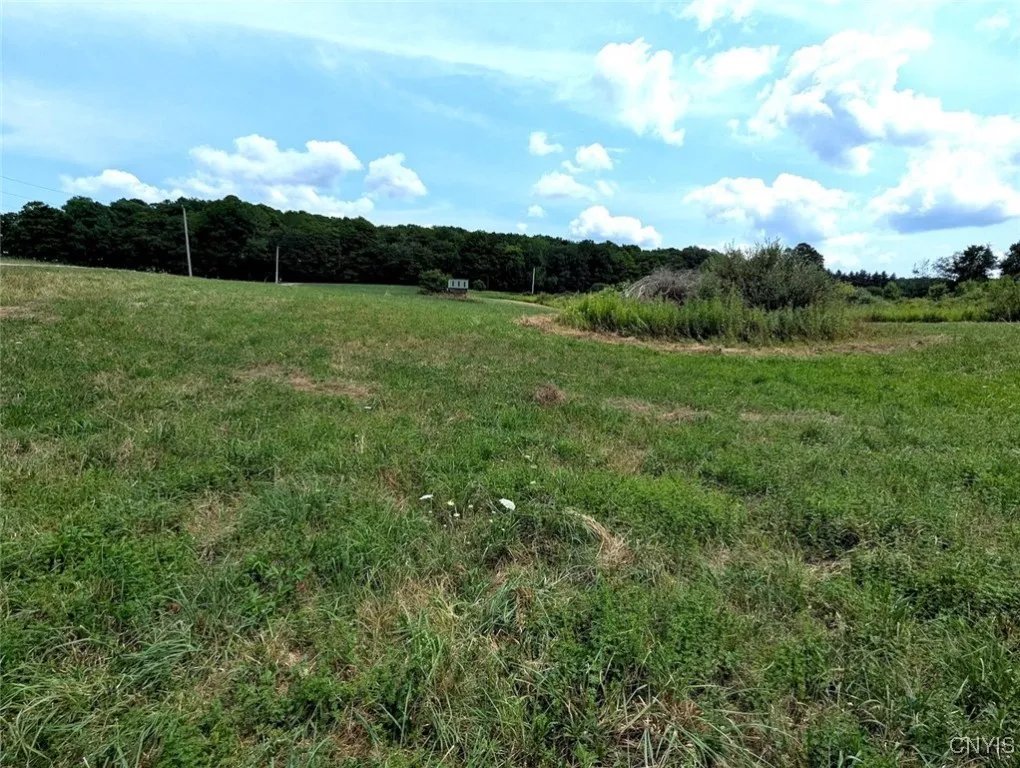 County Route 46, Dansville, New York 14437, Dansville, New York 14437, ,Land,For Sale,County Route 46, Dansville, New York 14437,S1627490