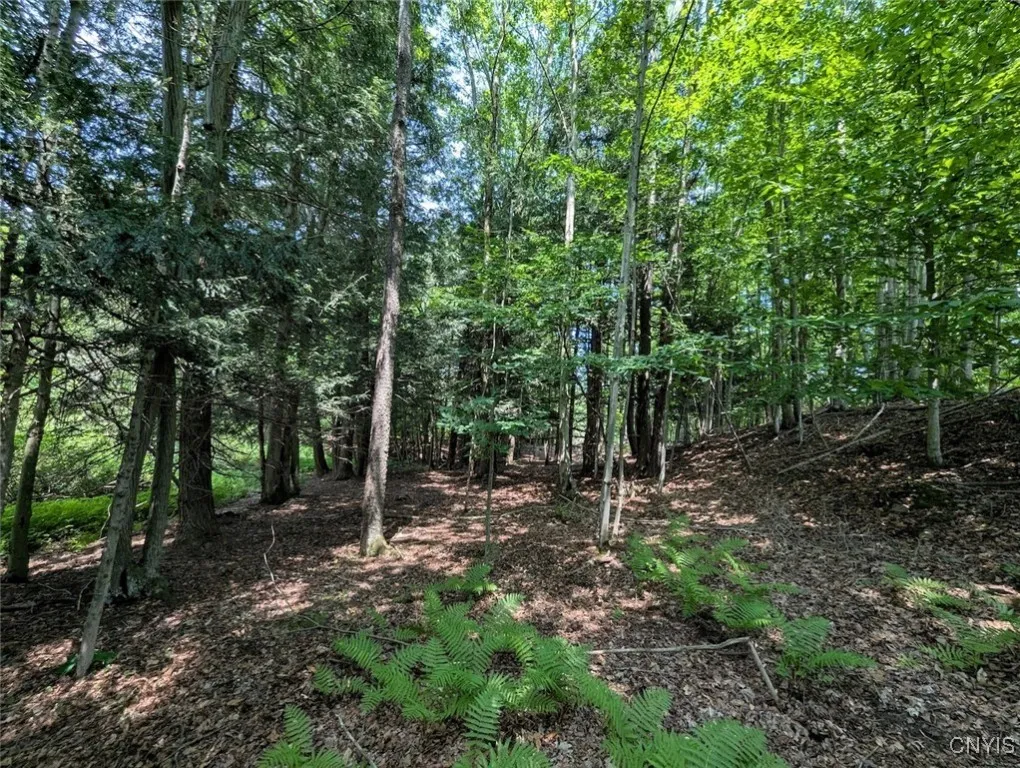 County Route 46, Dansville, New York 14437, Dansville, New York 14437, ,Land,For Sale,County Route 46, Dansville, New York 14437,S1627490