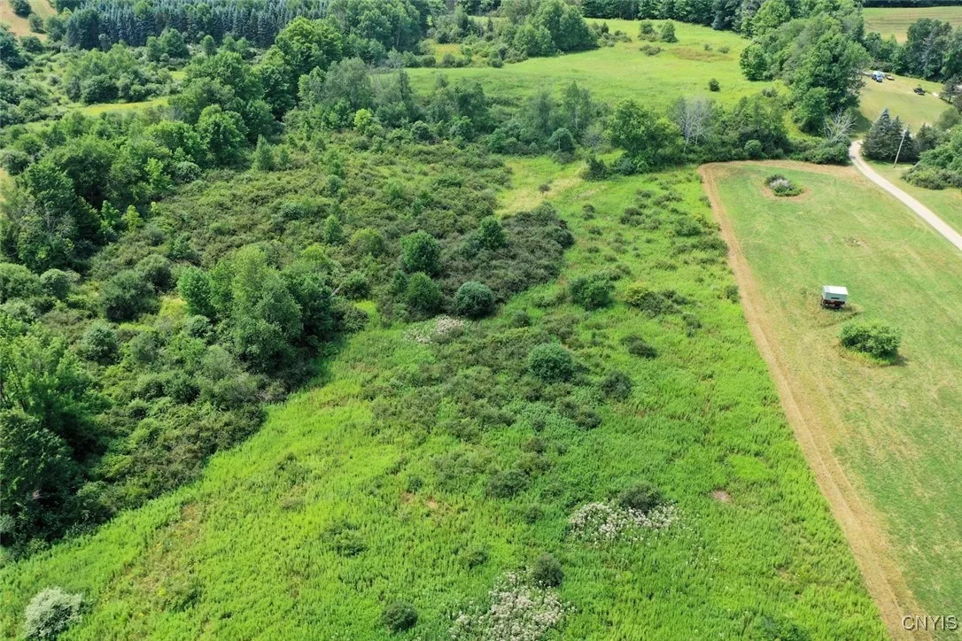 County Route 46, Dansville, New York 14437, Dansville, New York 14437, ,Land,For Sale,County Route 46, Dansville, New York 14437,S1627490