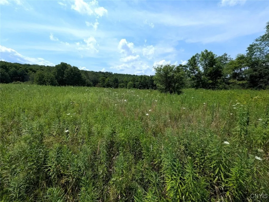 County Route 46, Dansville, New York 14437, Dansville, New York 14437, ,Land,For Sale,County Route 46, Dansville, New York 14437,S1627490