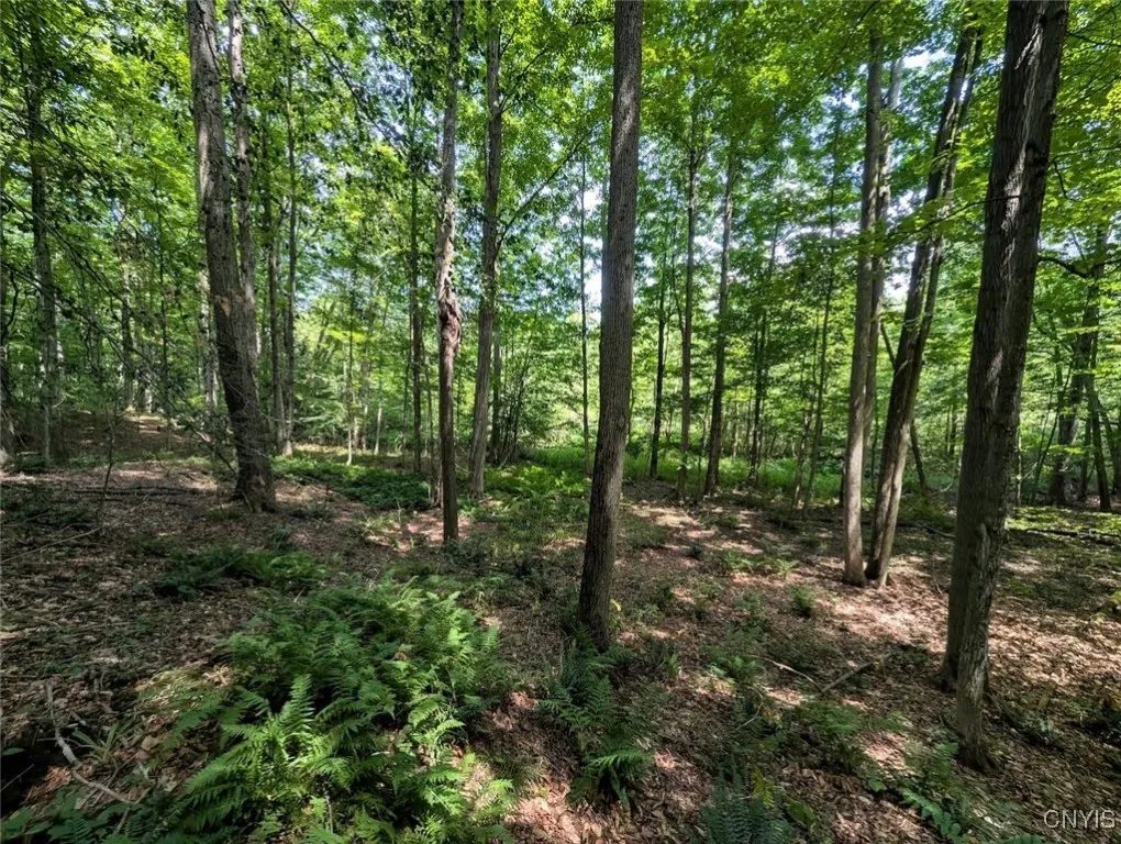 County Route 46, Dansville, New York 14437, Dansville, New York 14437, ,Land,For Sale,County Route 46, Dansville, New York 14437,S1627490