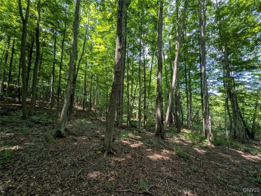 County Route 46, Dansville, New York 14437, Dansville, New York 14437, ,Land,For Sale,County Route 46, Dansville, New York 14437,S1627490