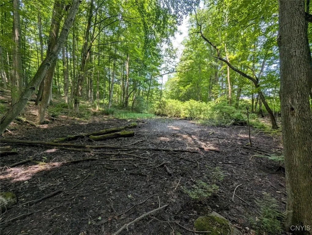 County Route 46, Dansville, New York 14437, Dansville, New York 14437, ,Land,For Sale,County Route 46, Dansville, New York 14437,S1627490