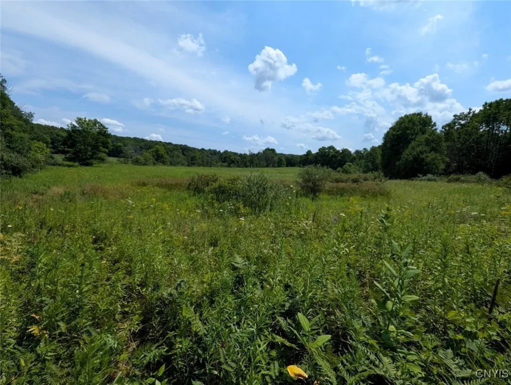 County Route 46, Dansville, New York 14437, Dansville, New York 14437, ,Land,For Sale,County Route 46, Dansville, New York 14437,S1627490