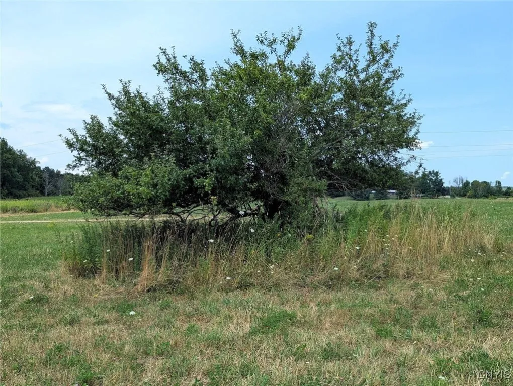 County Route 46, Dansville, New York 14437, Dansville, New York 14437, ,Land,For Sale,County Route 46, Dansville, New York 14437,S1627490