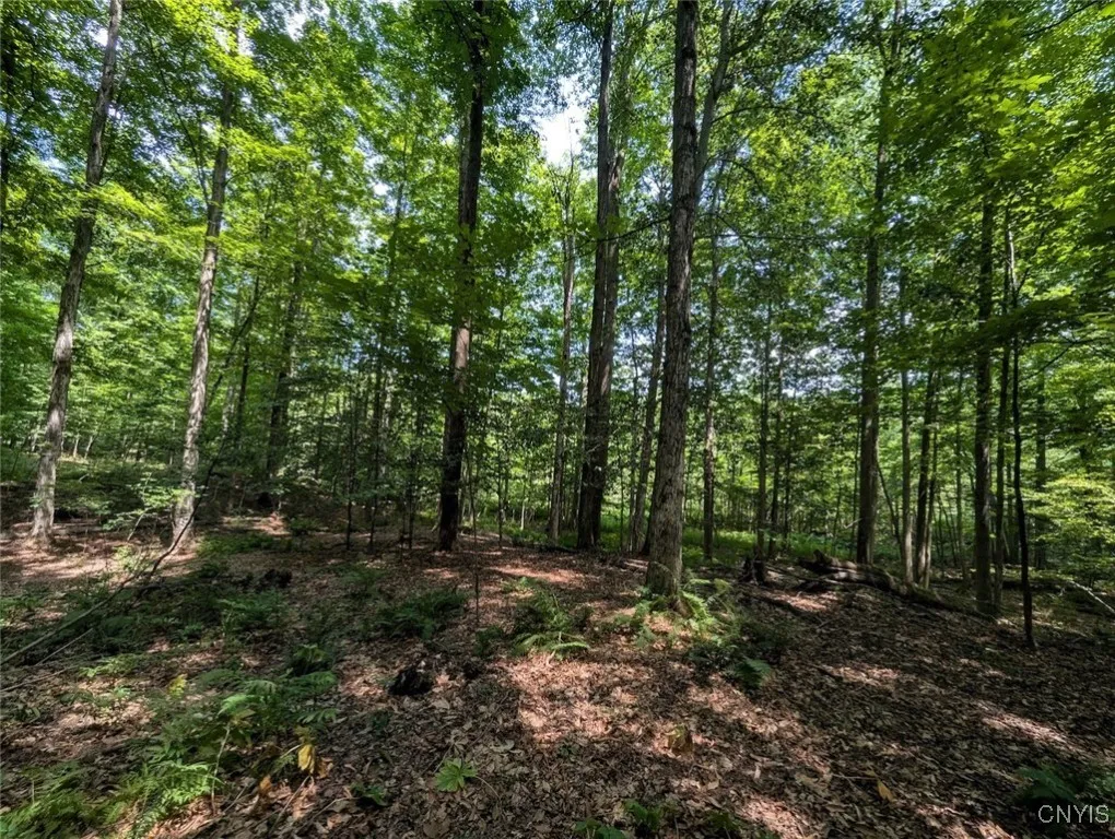 County Route 46, Dansville, New York 14437, Dansville, New York 14437, ,Land,For Sale,County Route 46, Dansville, New York 14437,S1627490